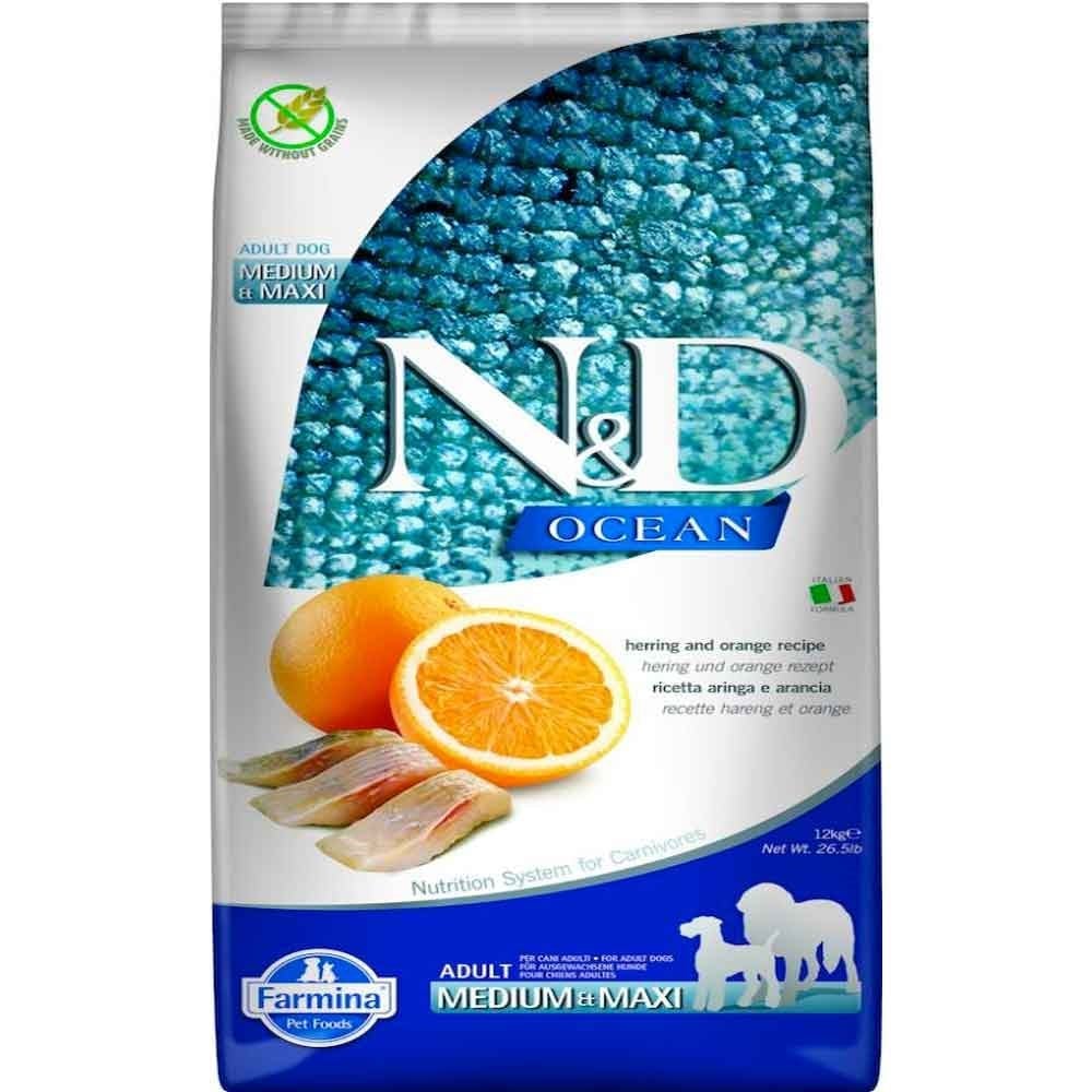 N&D Ocean Ringa Balıklı ve Portakallı Tahılsız Orta ve Büyük Irk Yetişkin Köpek Maması 12 Kg