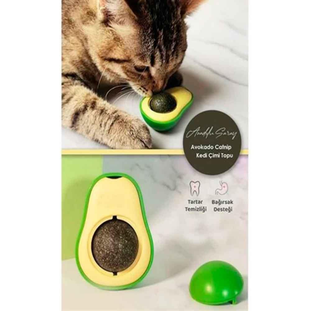 Avokado Catnip Kedi Nanesi Topu