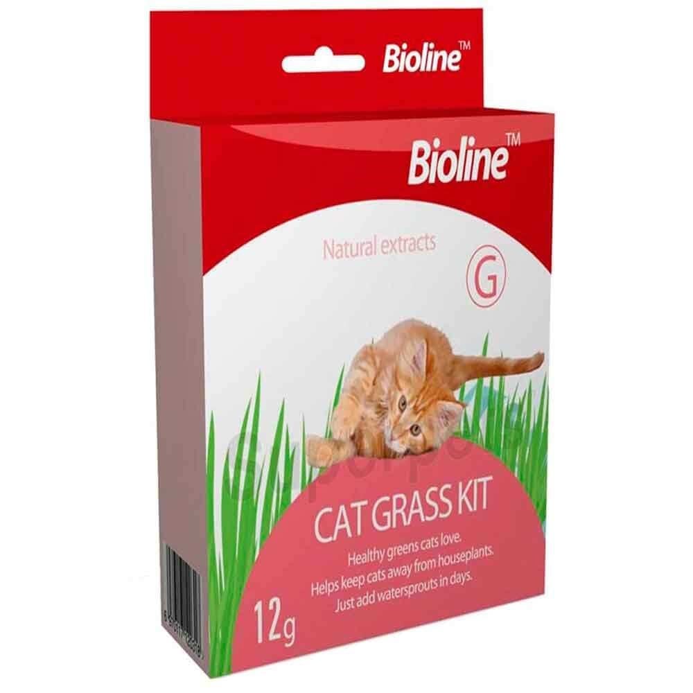 Bioline Kedi Çimi Seti