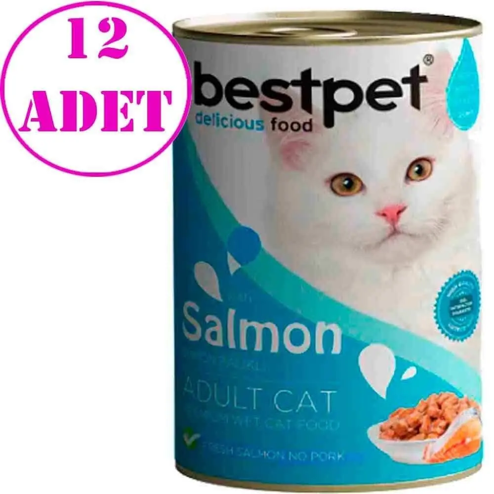 BestPet Kedi Konservesi Somonlu 400gr 12 AD
