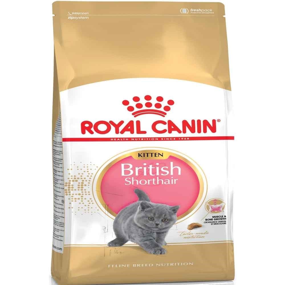Royal Canin British Shorthair Kitten 2 kg
