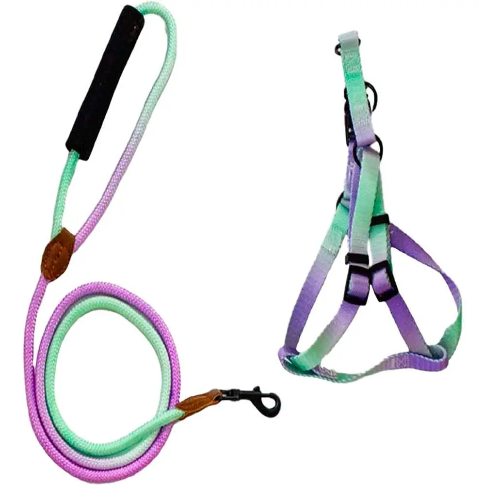 Ally Paws Köpek Göğüs ve Gezdirme Tasması 10 mm x 120 cm (Mor/Yeşil)