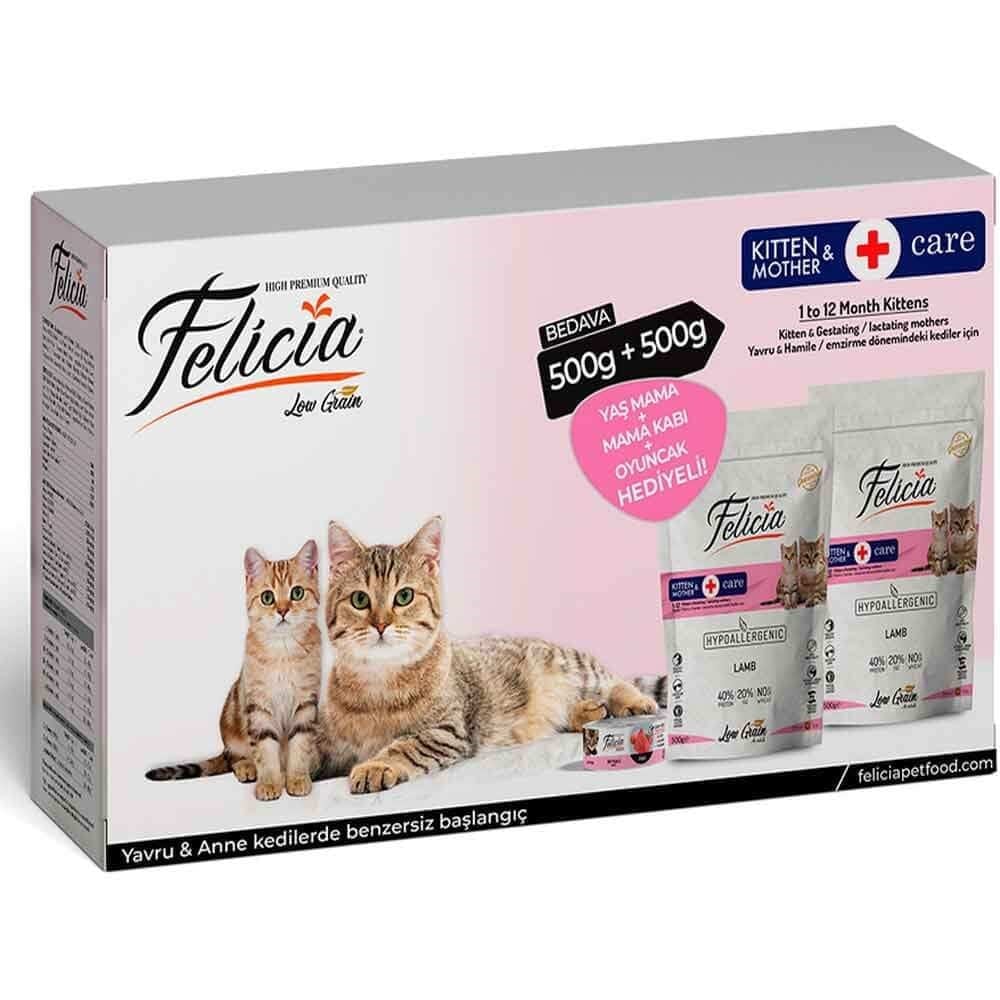Felicia Kitten Kuzulu 500+500 Hediyeli