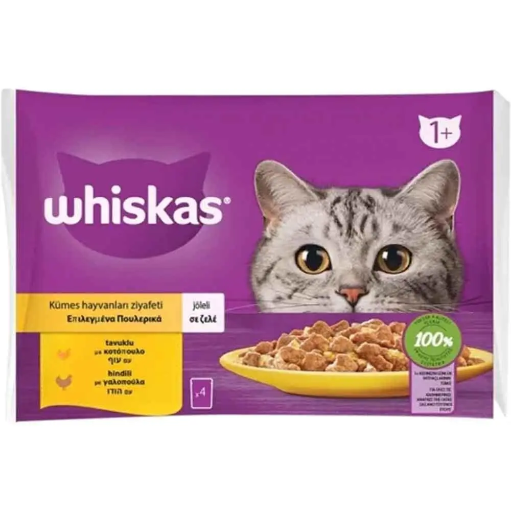 Whiskas Pouch Jöle İçinde Tavuklu ve Hindili Kedi Konservesi 85gr 4Lü PAKET