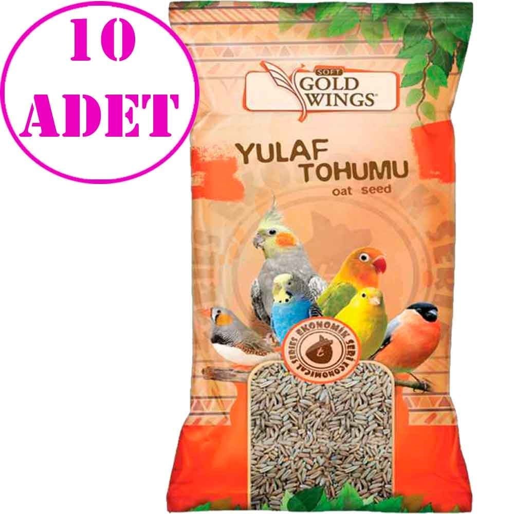 Gold Wings Yulaf 300 Gr 10 AD