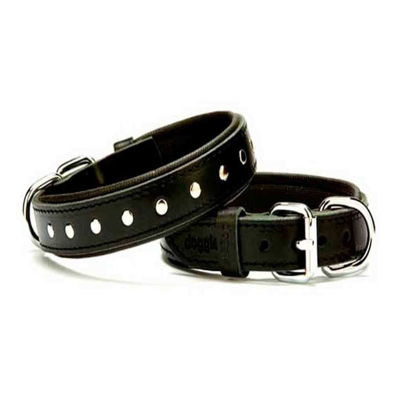 Doggie Comfort Yumuşak Dokulu Rivetli Köpek Boyun Tasması SBT-3511 Siyah