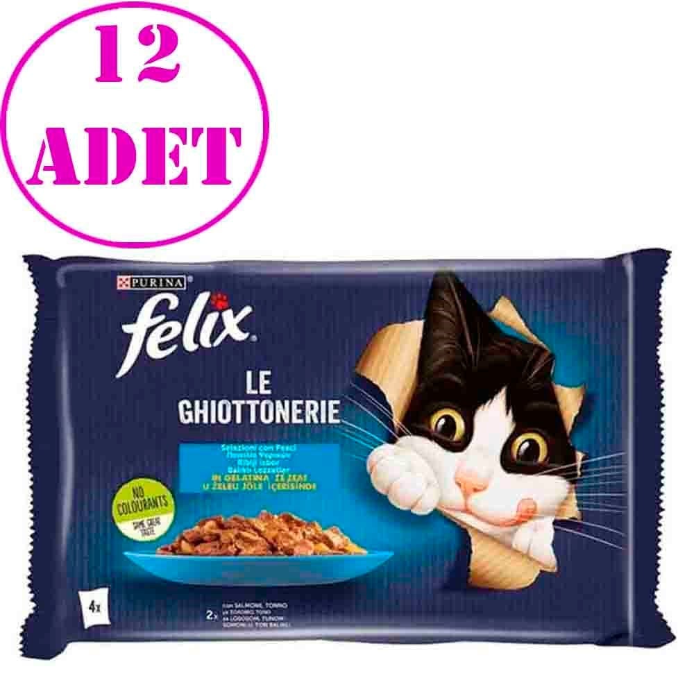 Felix Multipack Somonlu ve Ton Balıklı Yetişkin Kedi Yaş Maması 4x85 Gr 12 Adet