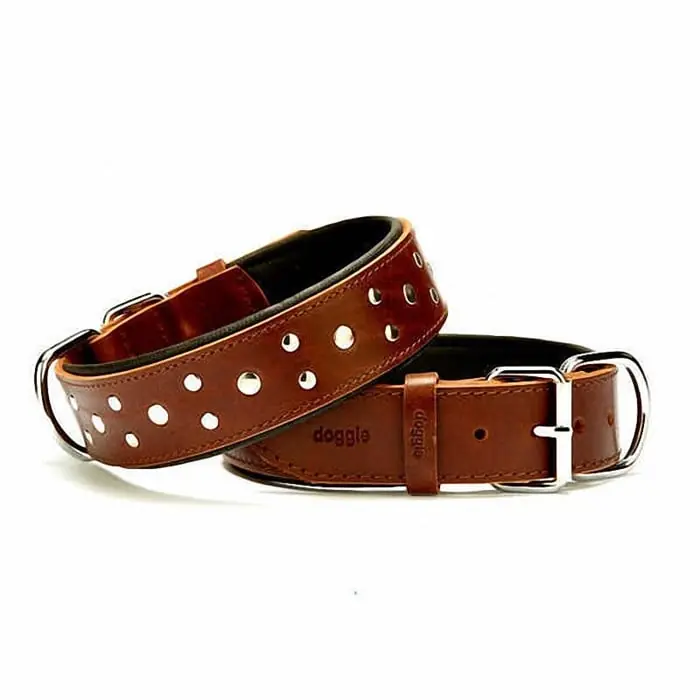 Doggie Yumuşak Dokulu Rivetli Köpek Boyun Tasması Kahverengi SBT-4011 L
