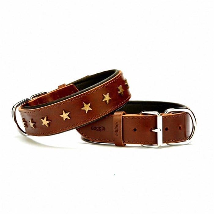 Doggie Yıldız Metal Süslü Deri Köpek Boyun Tasması Kahve SBT-3560