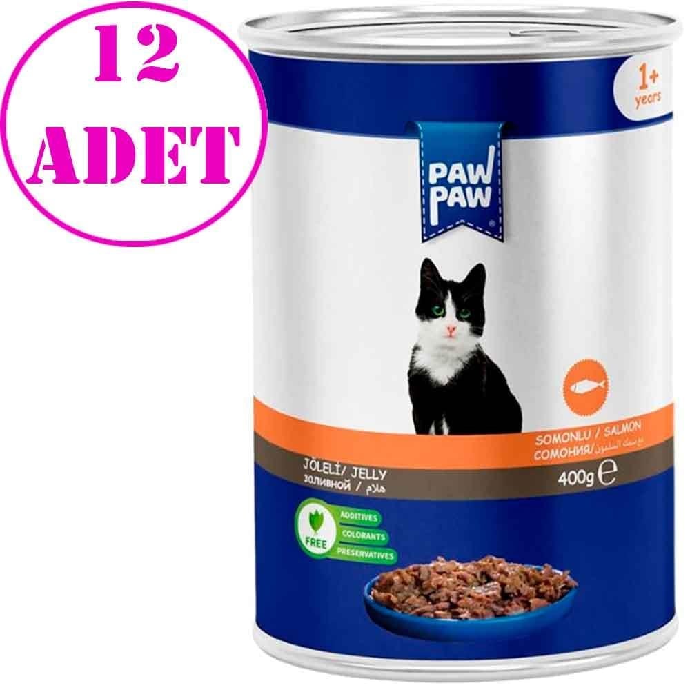 Pawpaw Kedi Konservesi Somonlu 400 Gr 12 AD