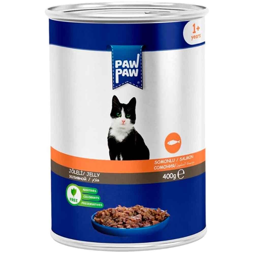 Pawpaw Kedi Konservesi Somonlu 400 Gr