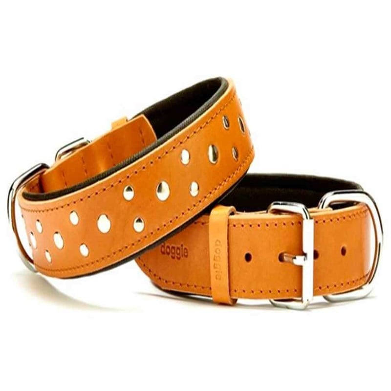Doggie Comfort Rivetli Deri Boyun Tasması Kamel SBT-4011 4,0x65 cm