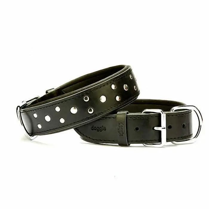Doggie Yumuşak Dokulu Rivetli Köpek Boyun Tasması Siyah SBT-4011 L