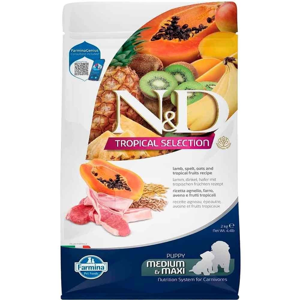 ND Tropical Meyveli Orta ve Büyük Irk Yavru Köpek Maması Kuzu Etli 2 Kg