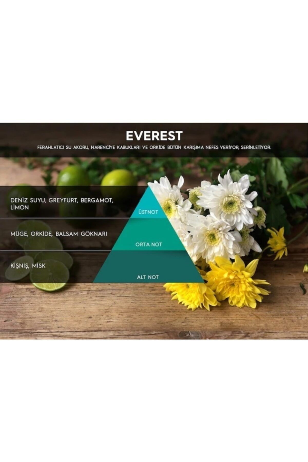 Cosmic M5 Koku Makinesi Kartuşu Everest