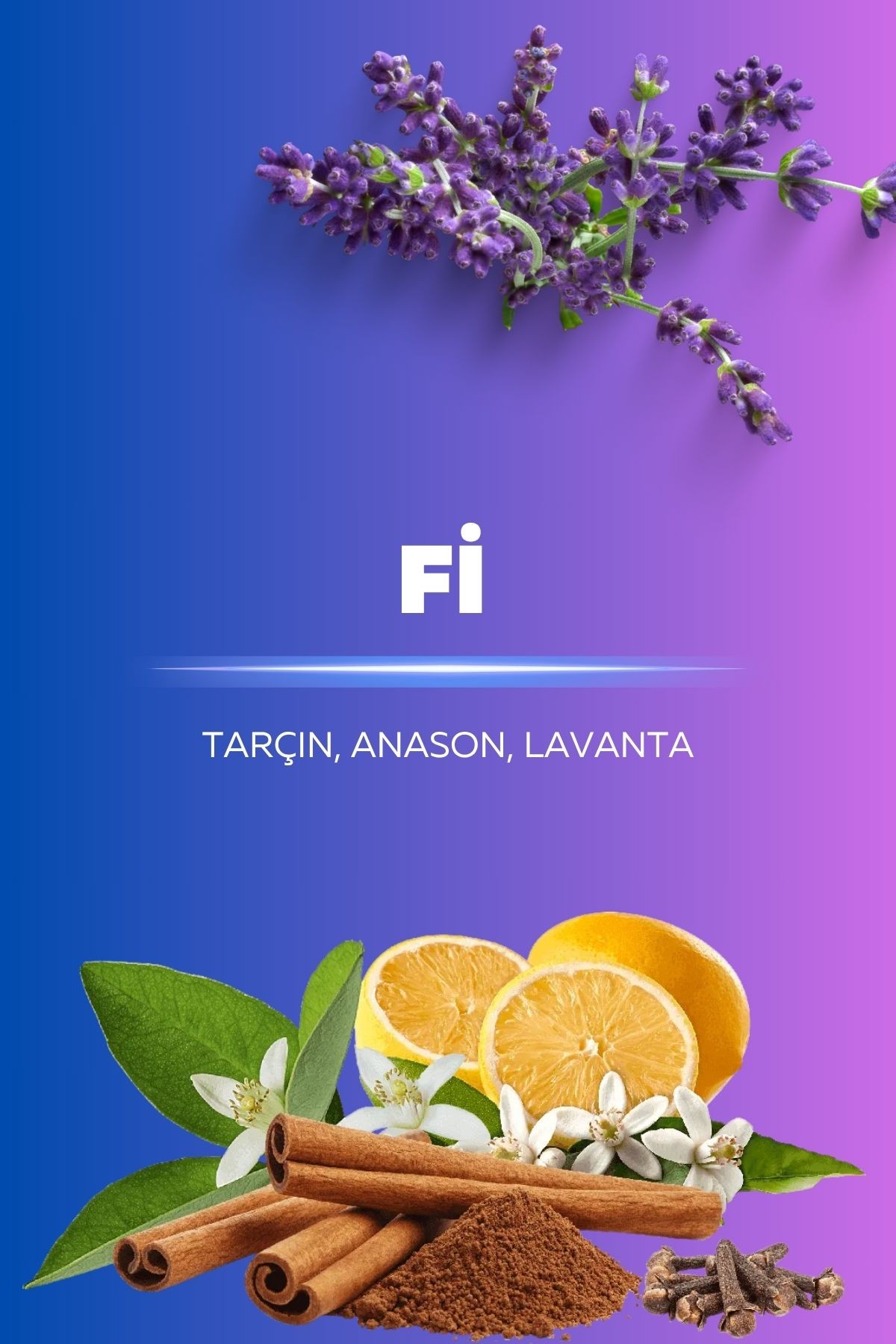Fi