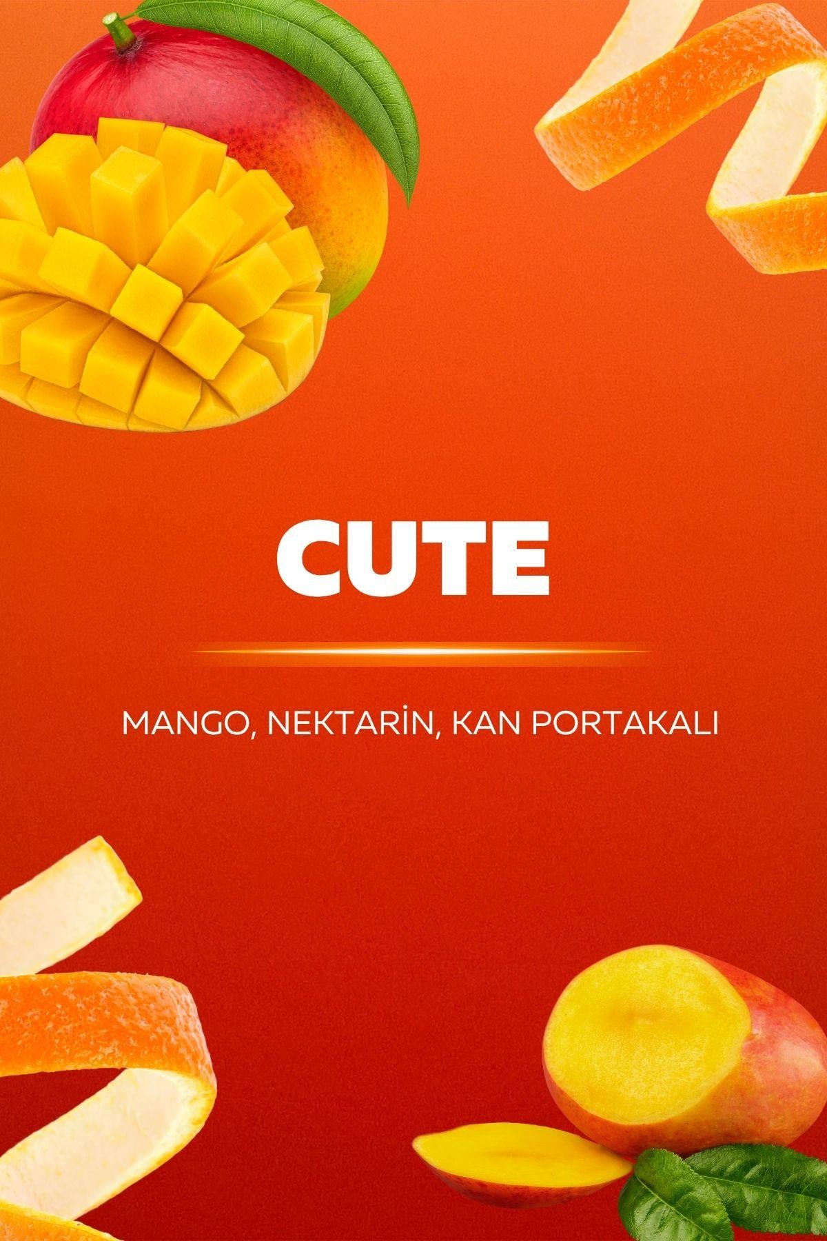 Quu Plus Space Geni̇ş Alan Cute Koku Kartuşu