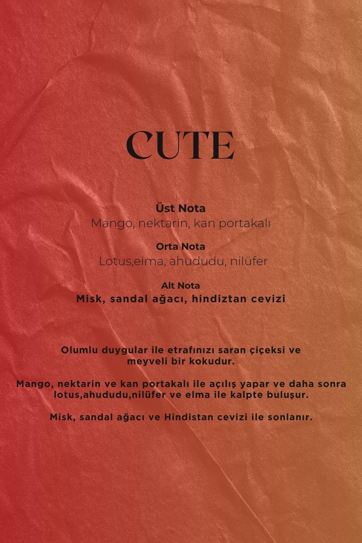Quu Plus Space Geni̇ş Alan Cute Koku Kartuşu