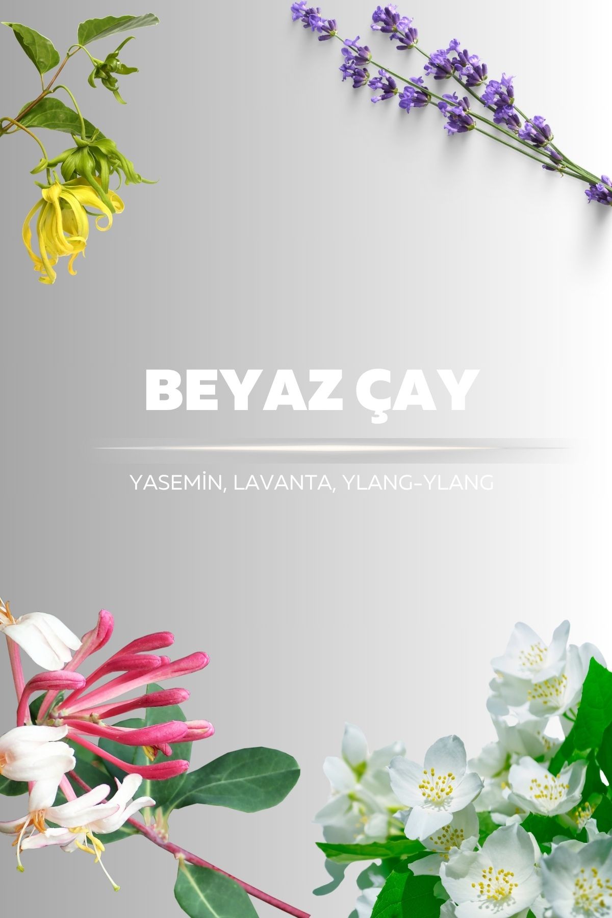 Beyaz Çay