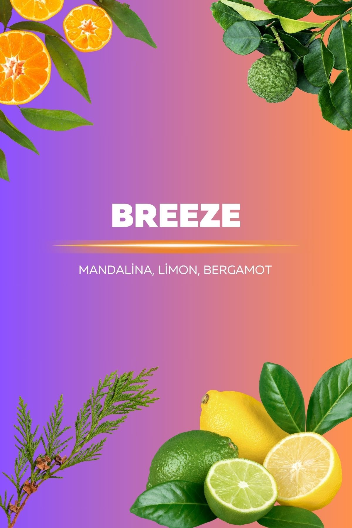 Breeze