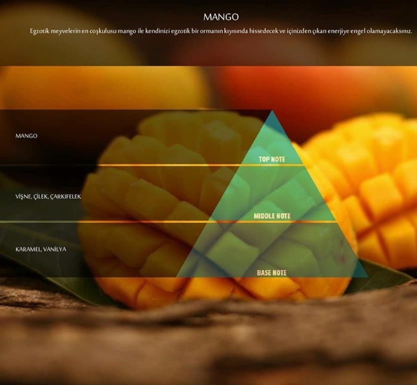 Rulopak Nanoplus M7 Geniş Alan Koku Makinesi Mango Koku Kartuşu 200 ml