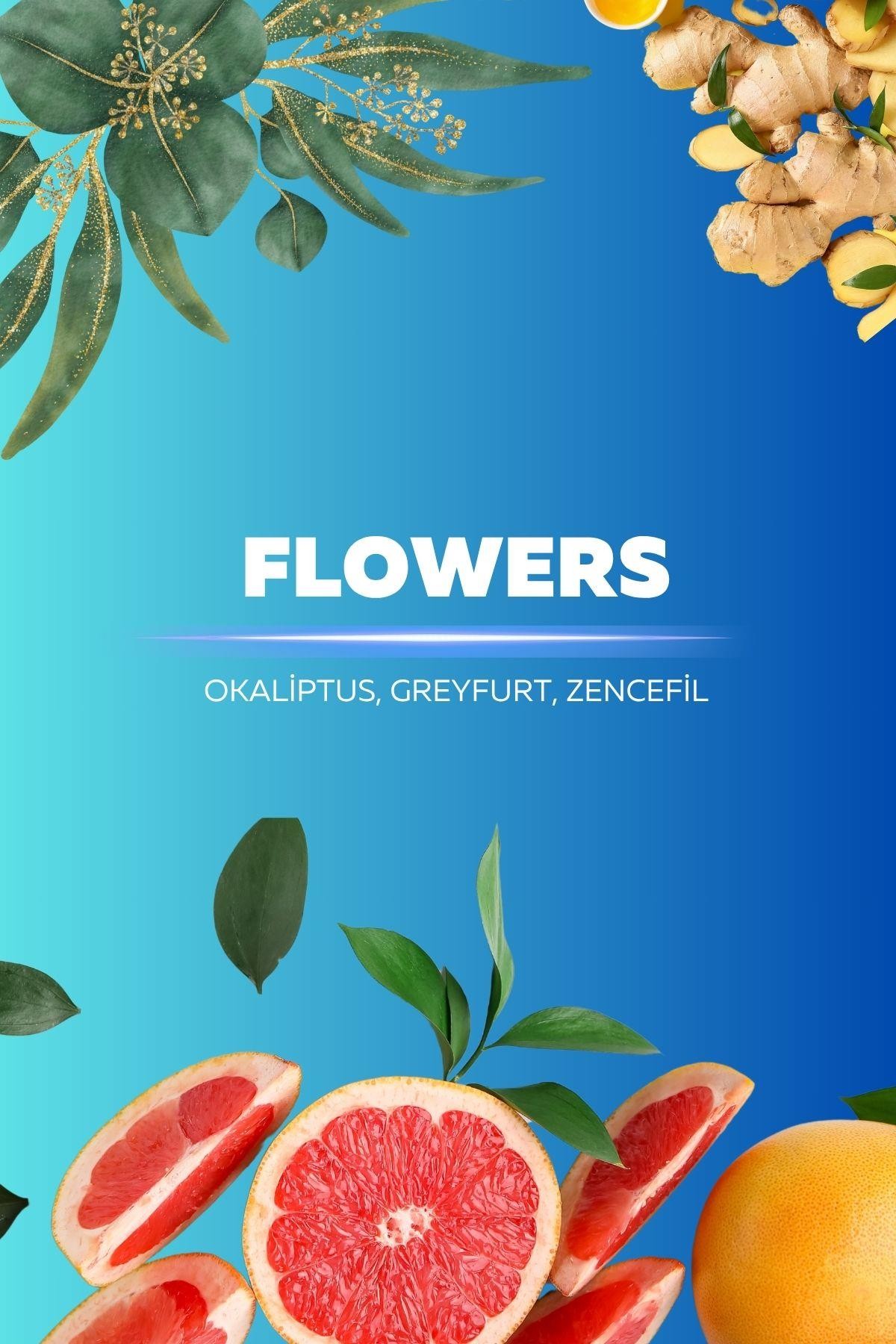 Quu Plus Space Geni̇ş Alan Flowers Koku Kartuşu