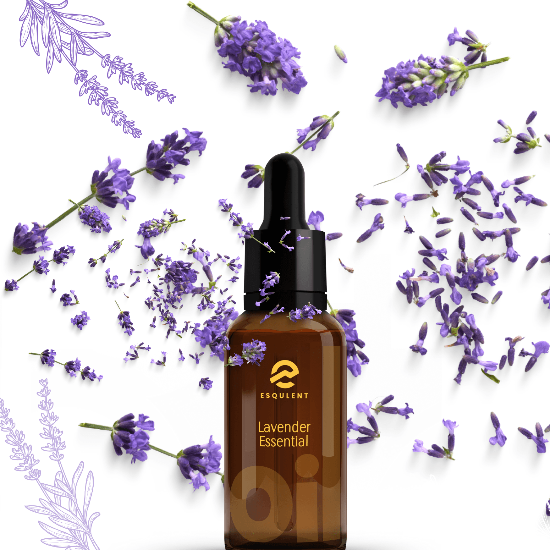 Lavender Essential Oil 10 ml