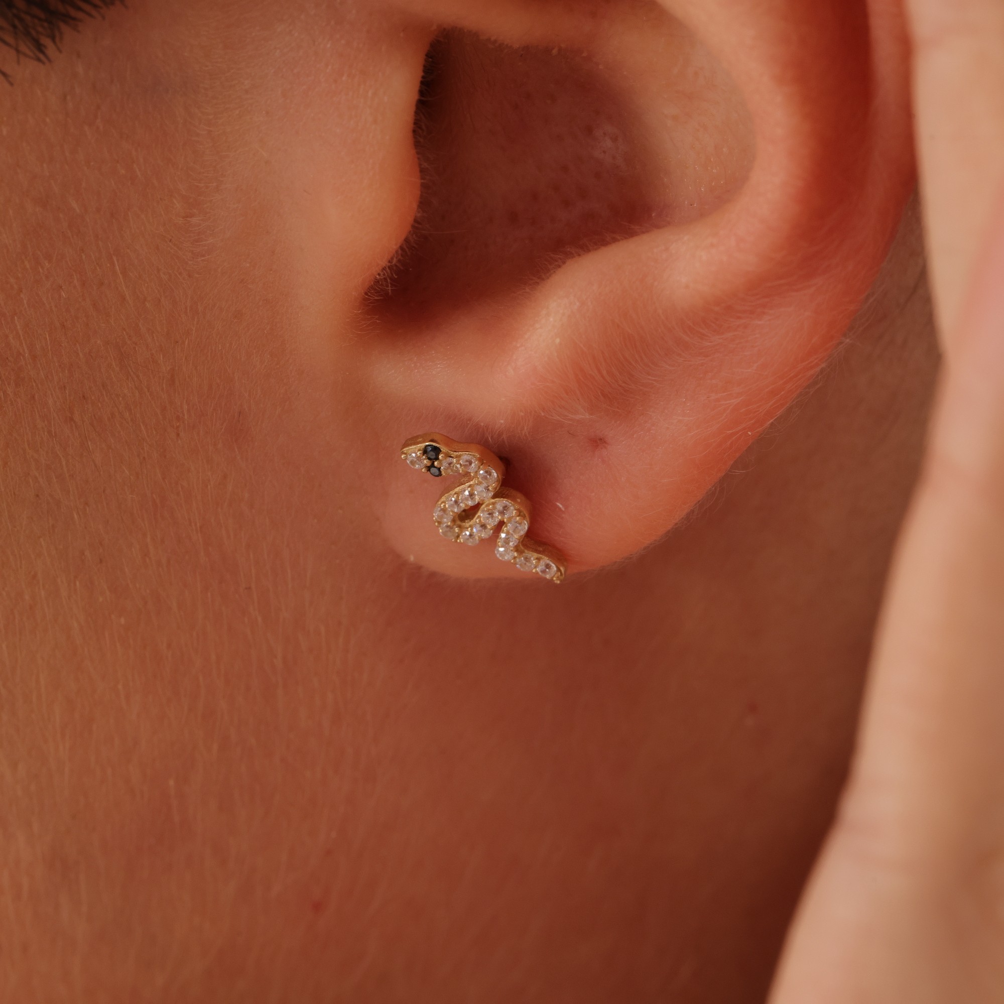 14 Carat Snake Earrings