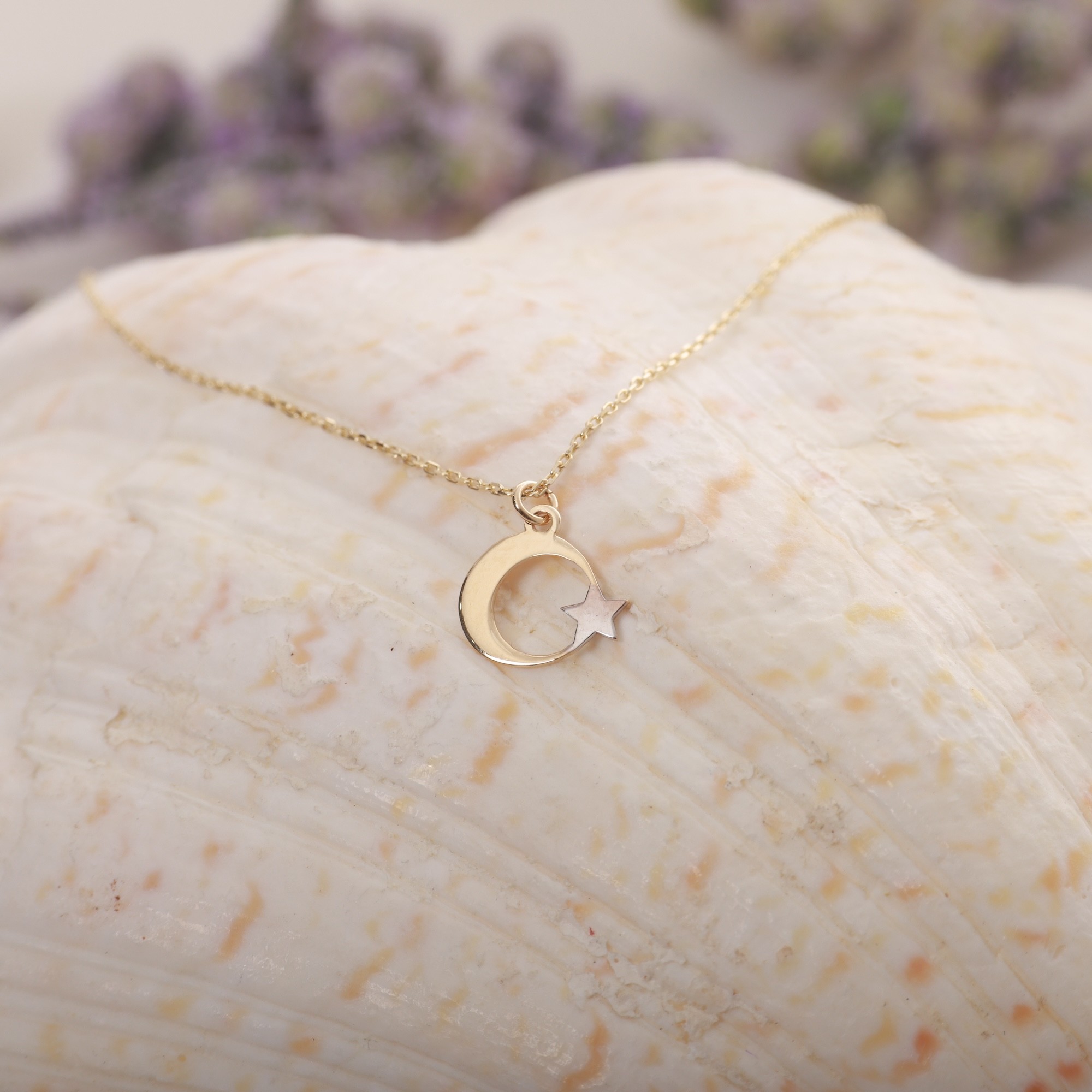 14 Carat Gold Crescent Star Necklace