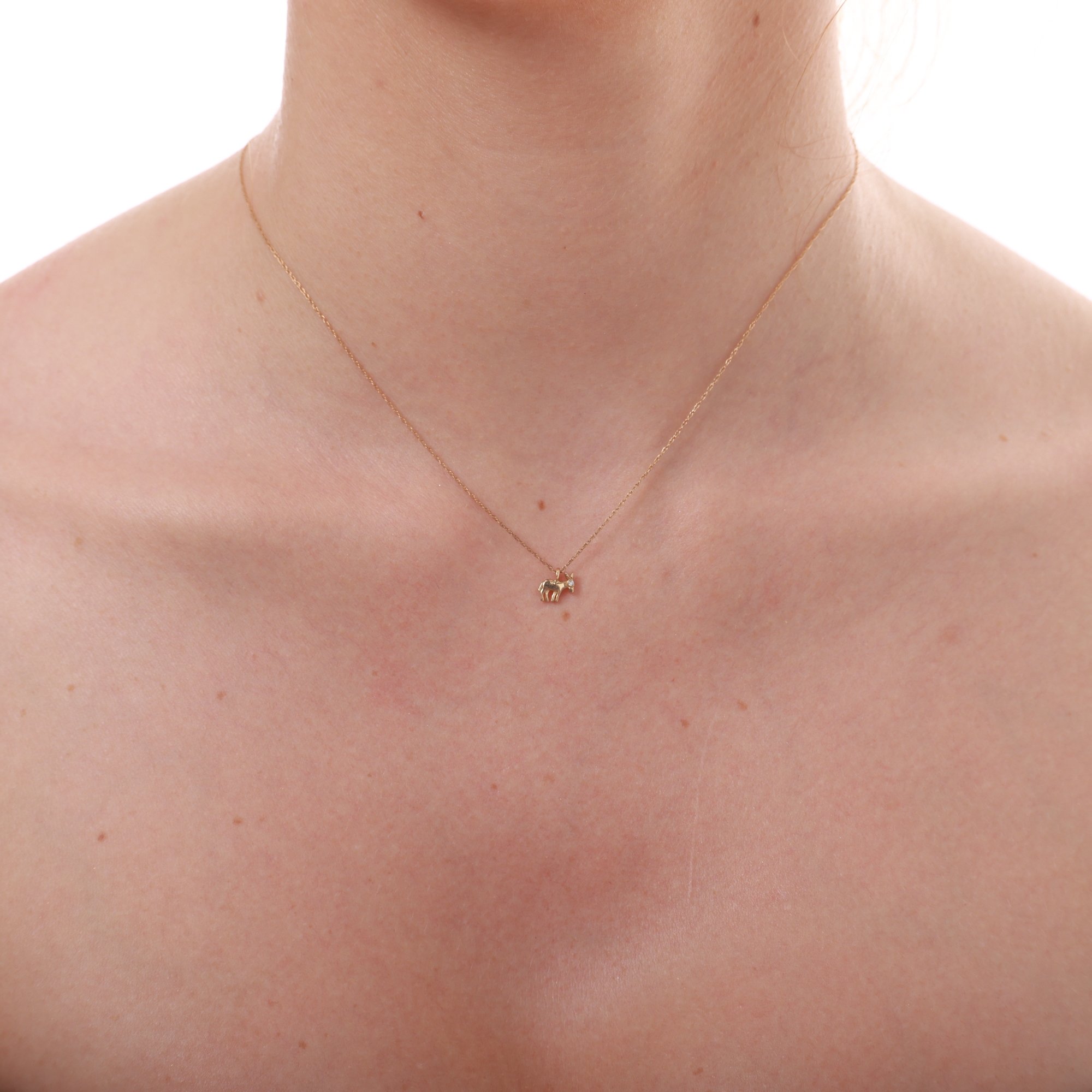 14 Carat Gold Minimal Donkey Necklace