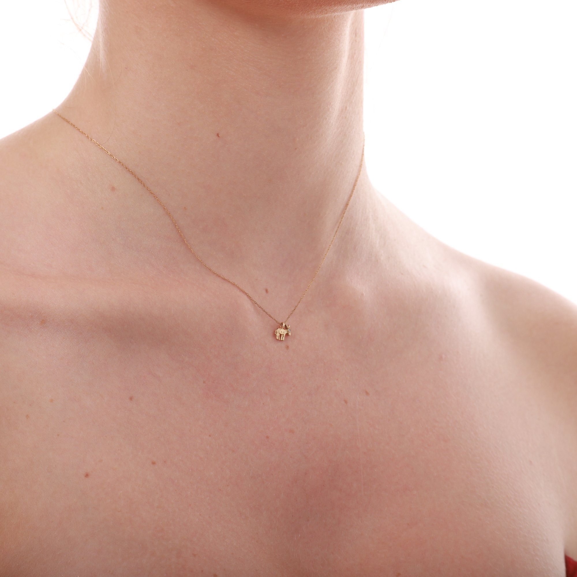 14 Carat Gold Minimal Donkey Necklace