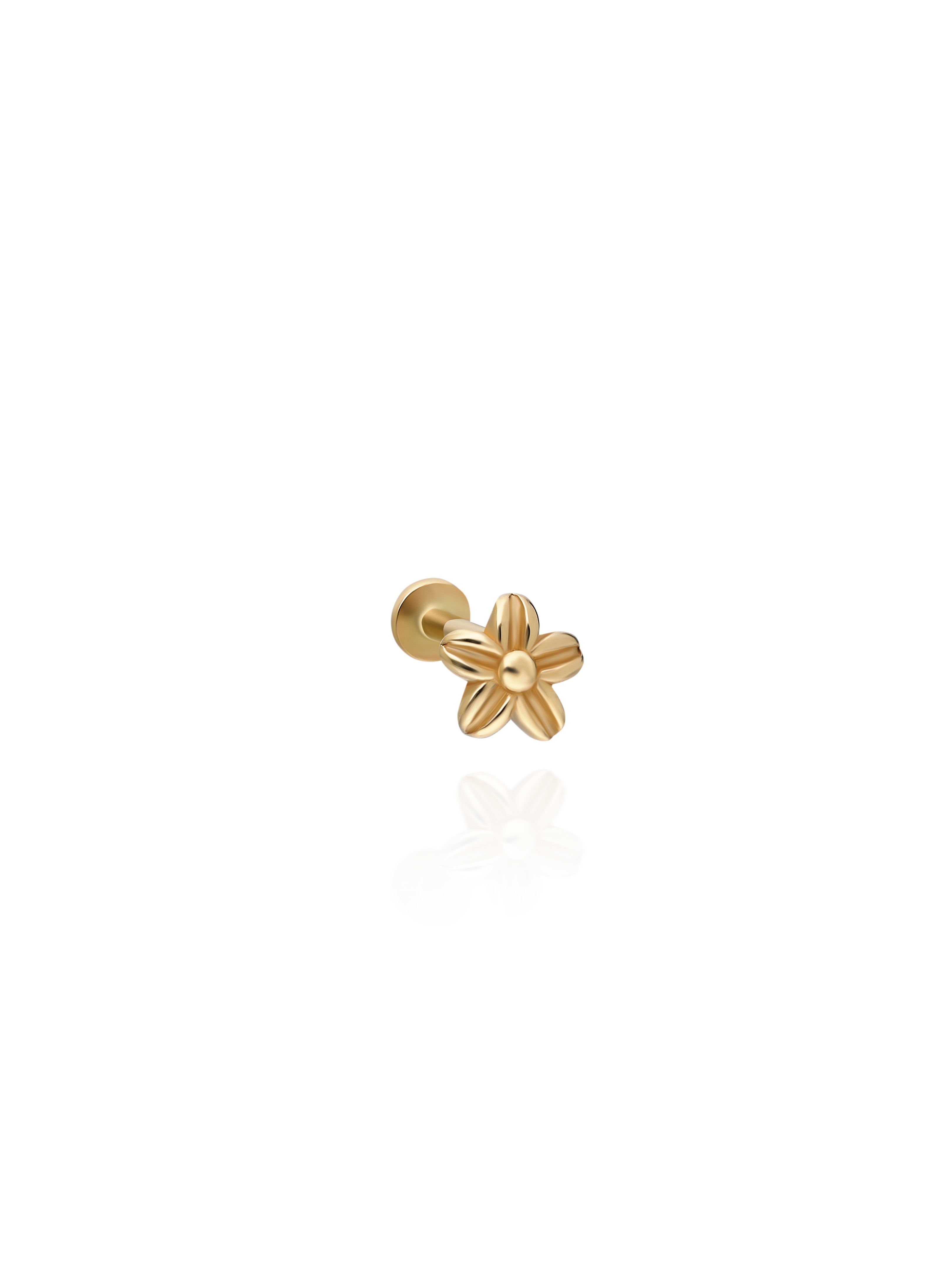 Minimal Flower Piercing with 14 Carat Gold Line Detail