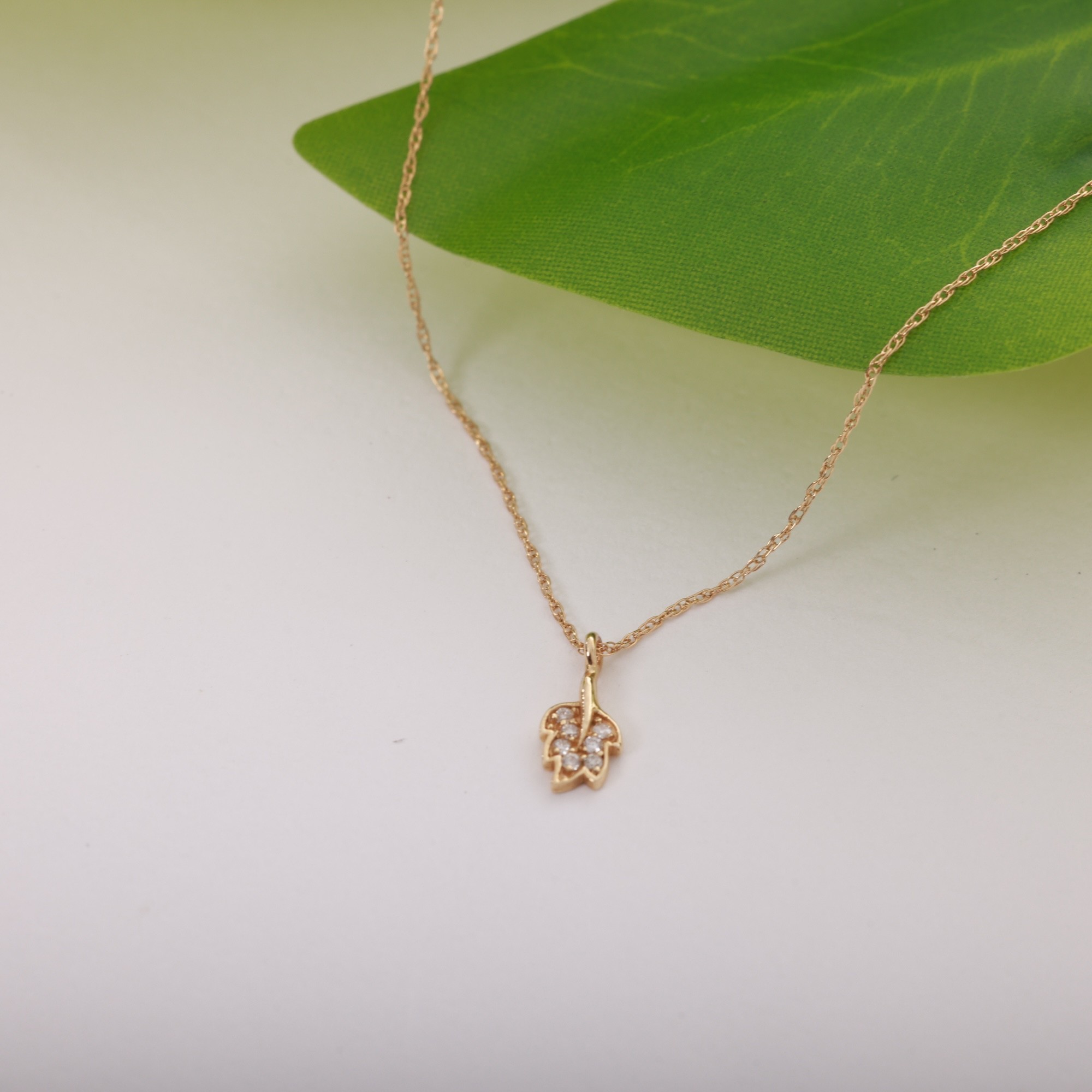 Minimal Leaf Necklace with 14 Carat Gold Stone