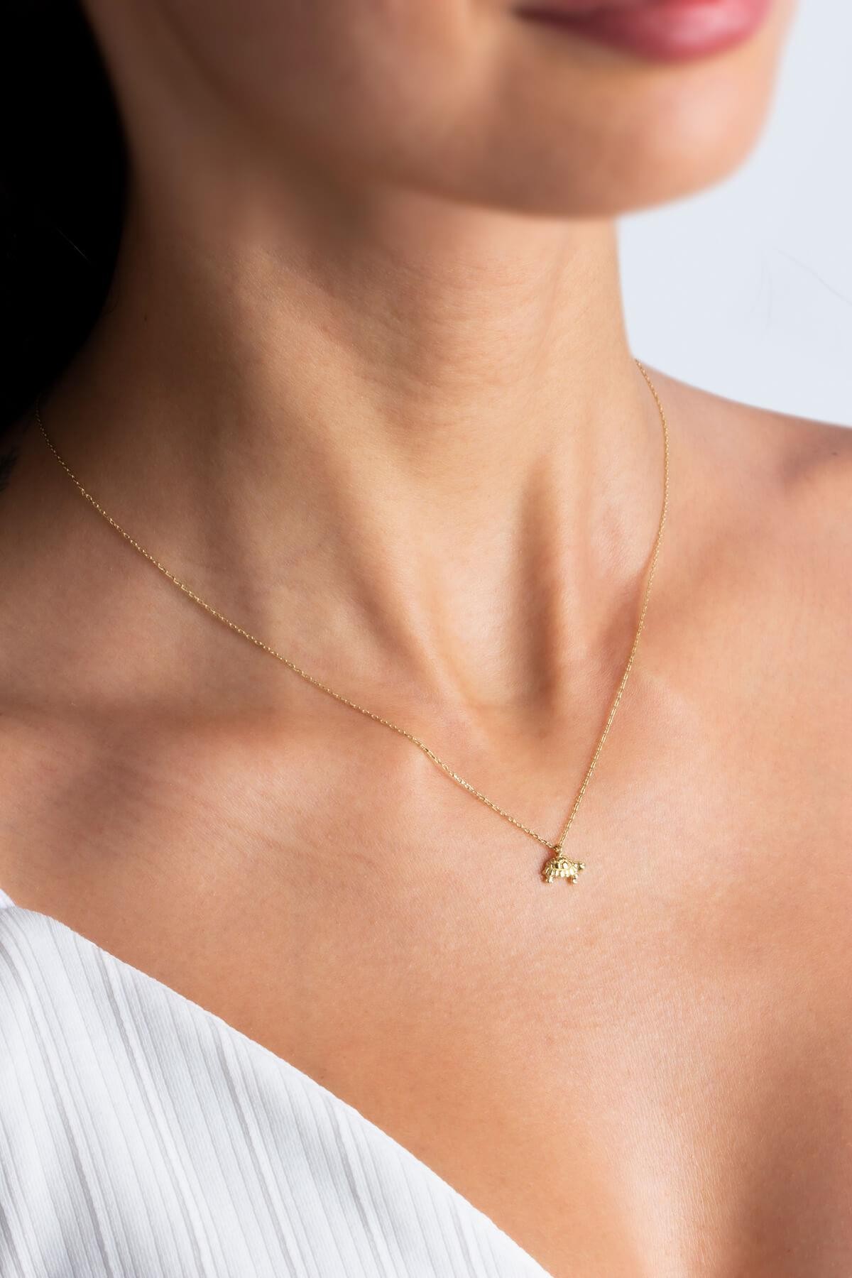 14 Carat Yellow Gold Turtle Necklace