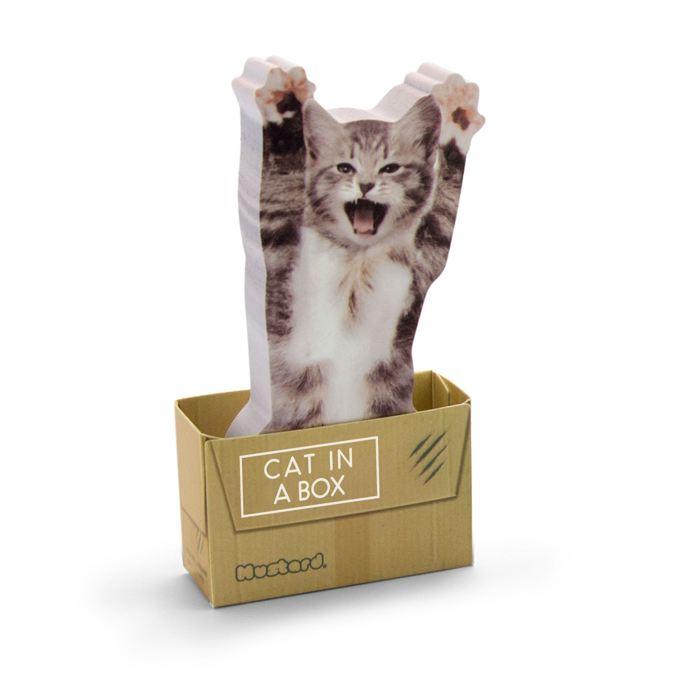Mustard Cat in a Box Yapışkanlı Notluk