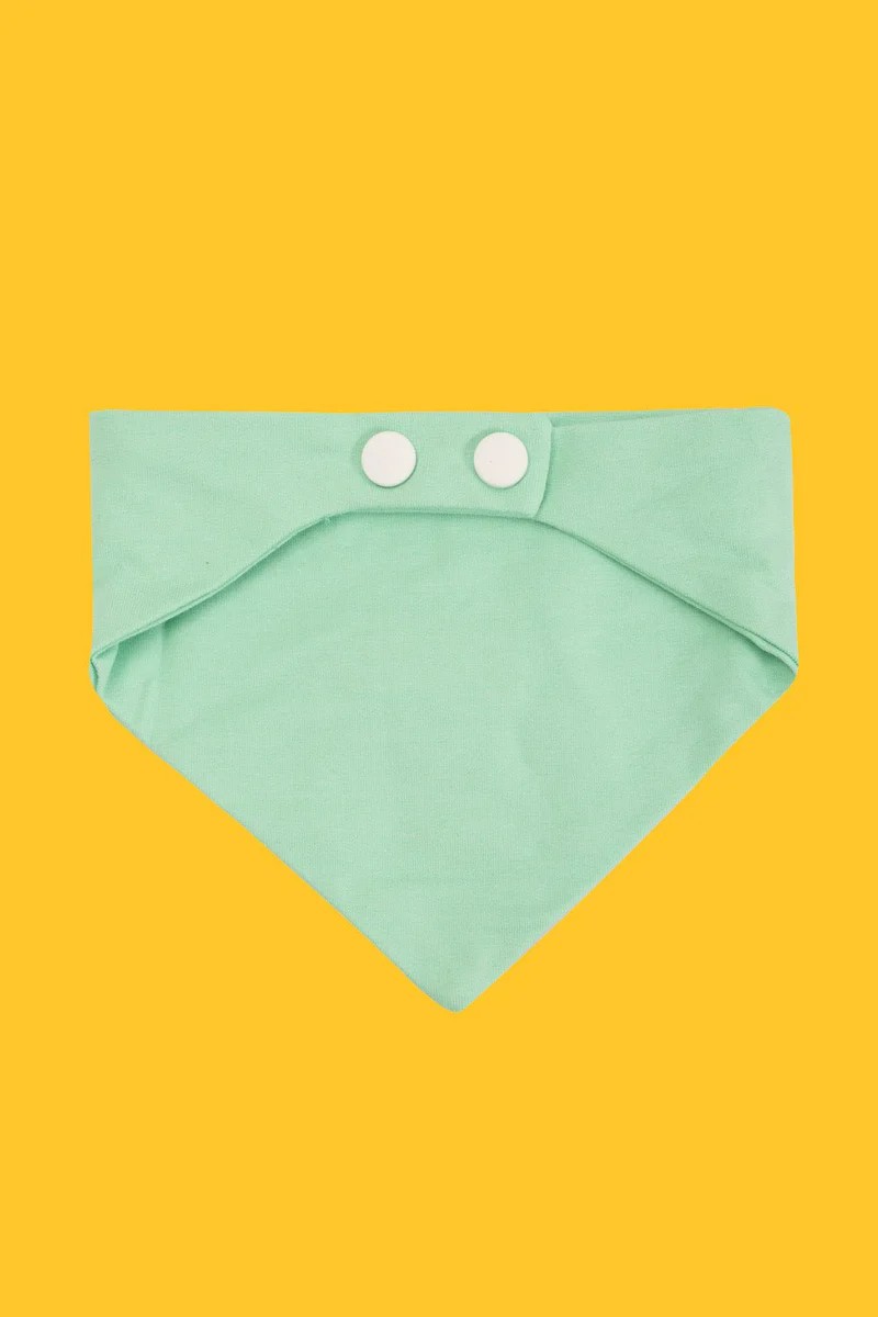 Cluf PetMood Bandana - Mint