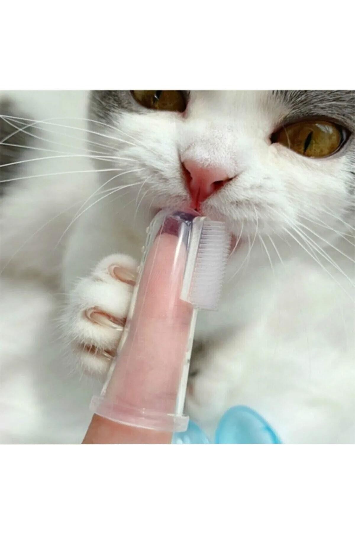Kedi ve Köpek Diş Kaşıma Fırçası