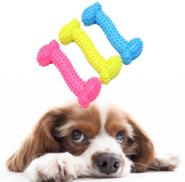 Pets for Box Kemik Şeklinde Köpek Diş Kaşıma Oyuncağı