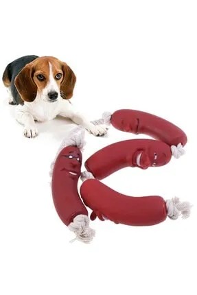 Köpek Oyuncağı Sosis