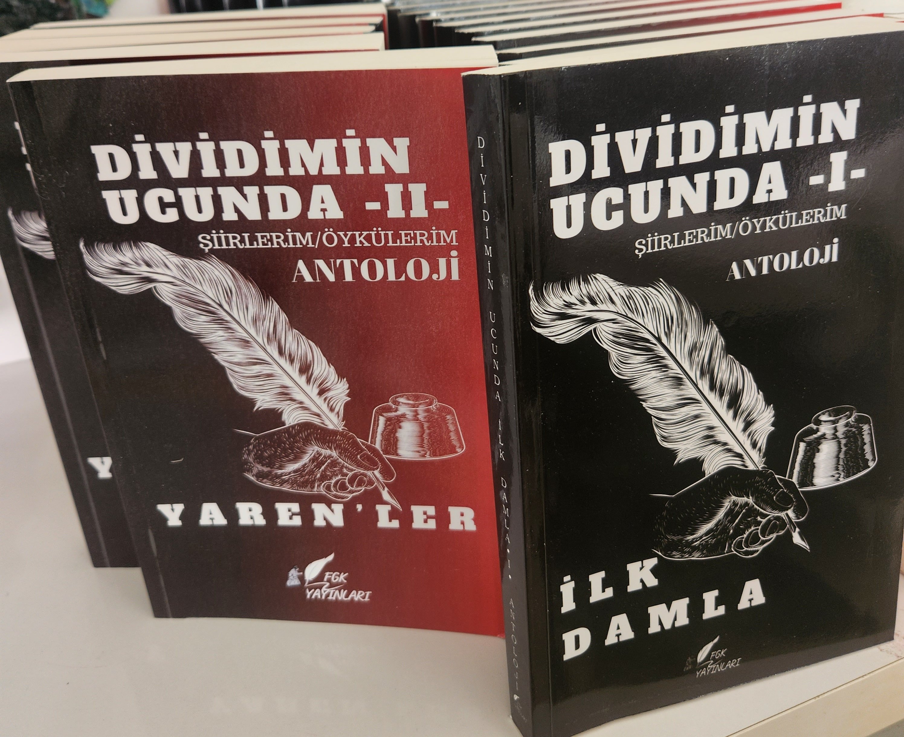 DİVİDİMİN UCUNDA -2- YARENLER - ŞİİRLERİM/ÖYKÜLERİM- ANTOLOJİ