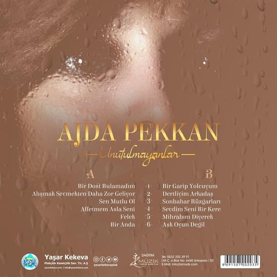 Ajda Pekkan - Unutulmayanlar (Plak)