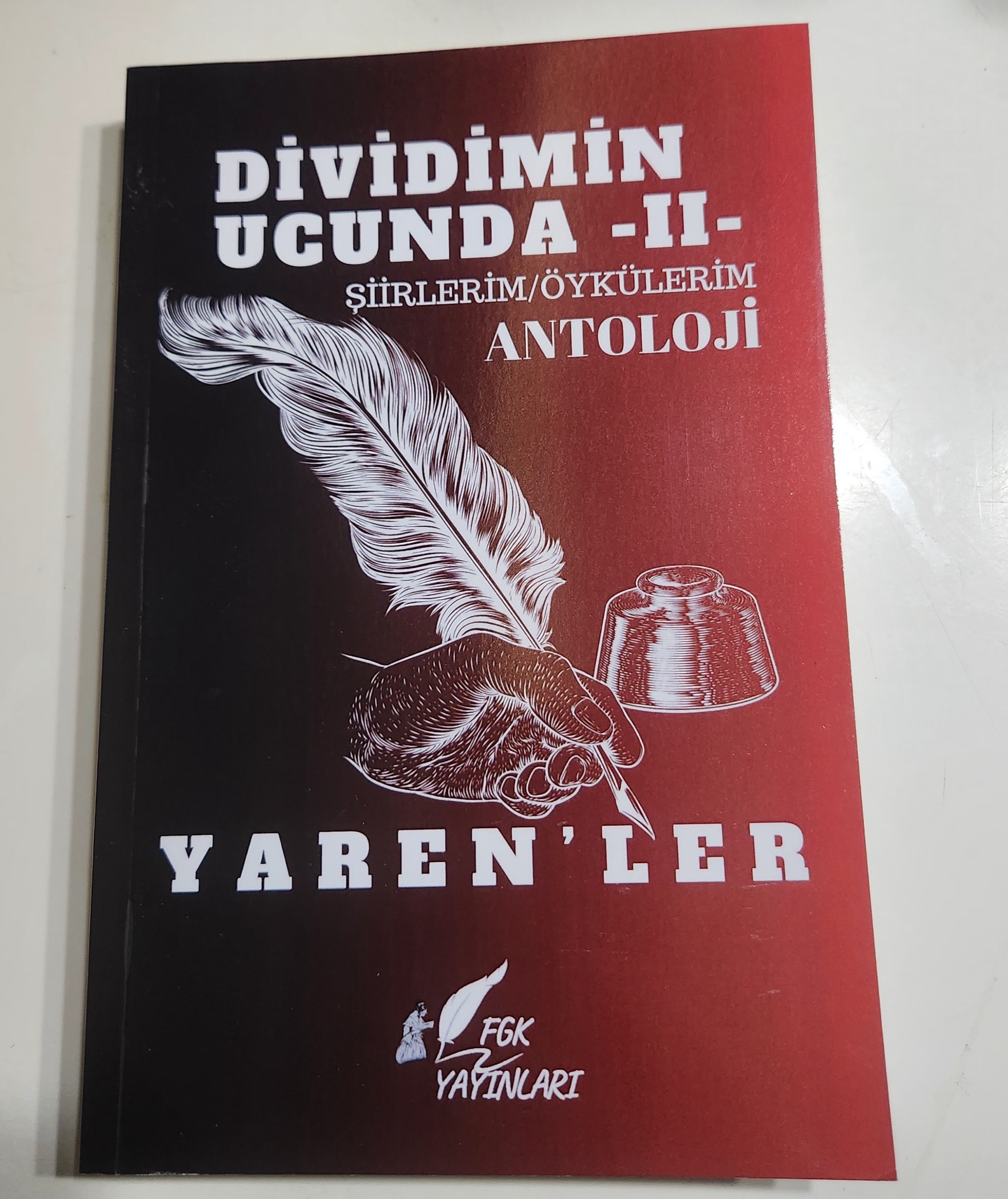 DİVİDİMİN UCUNDA -2- YARENLER - ŞİİRLERİM/ÖYKÜLERİM- ANTOLOJİ