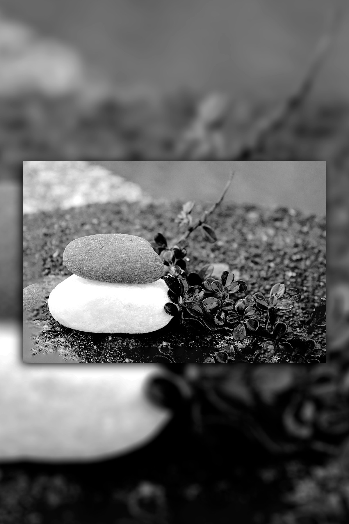 Beyaz Uyum Kanvas Duvar Tablo