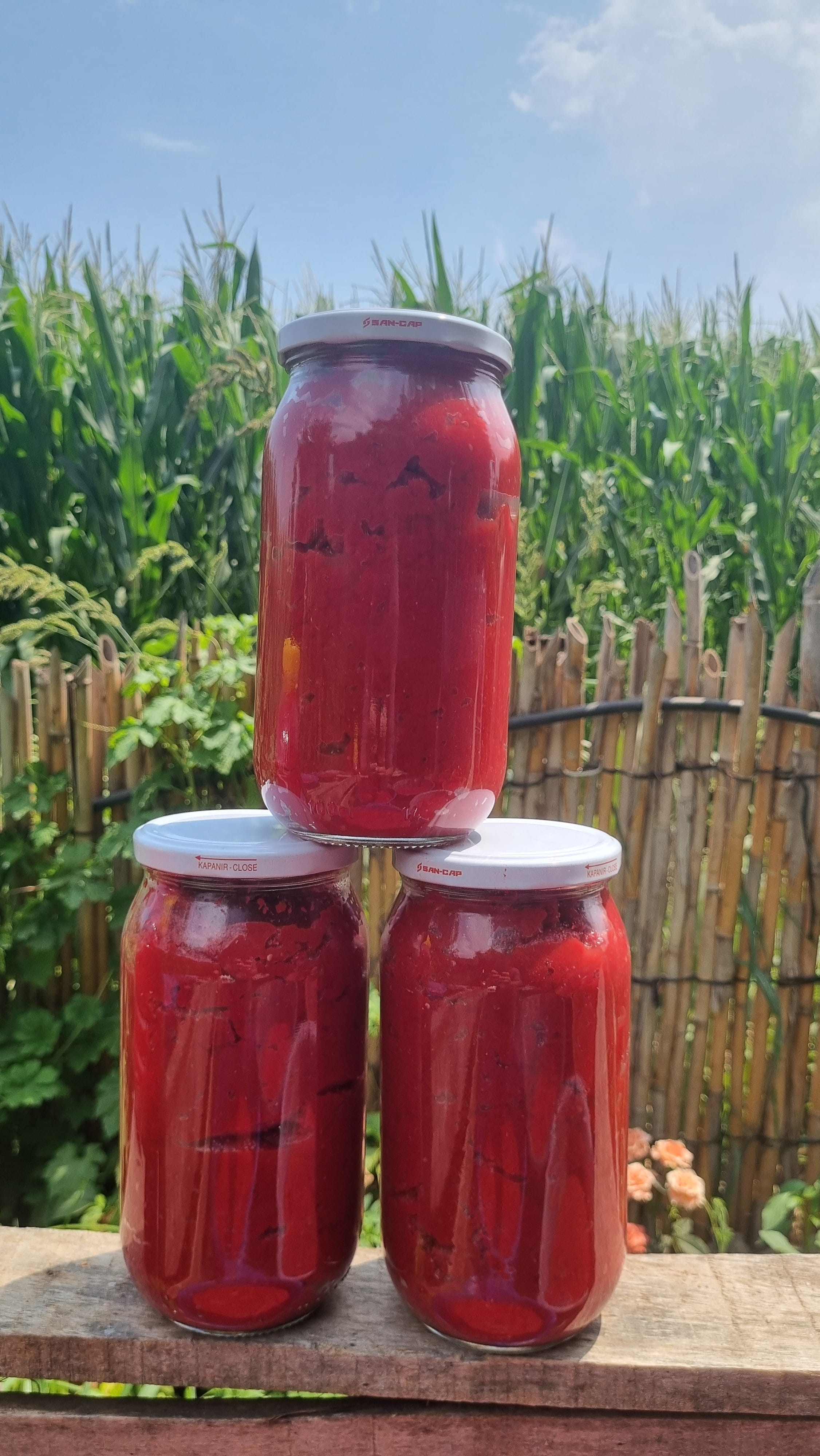 Domates Salçası 1 KG Yeni Sezon