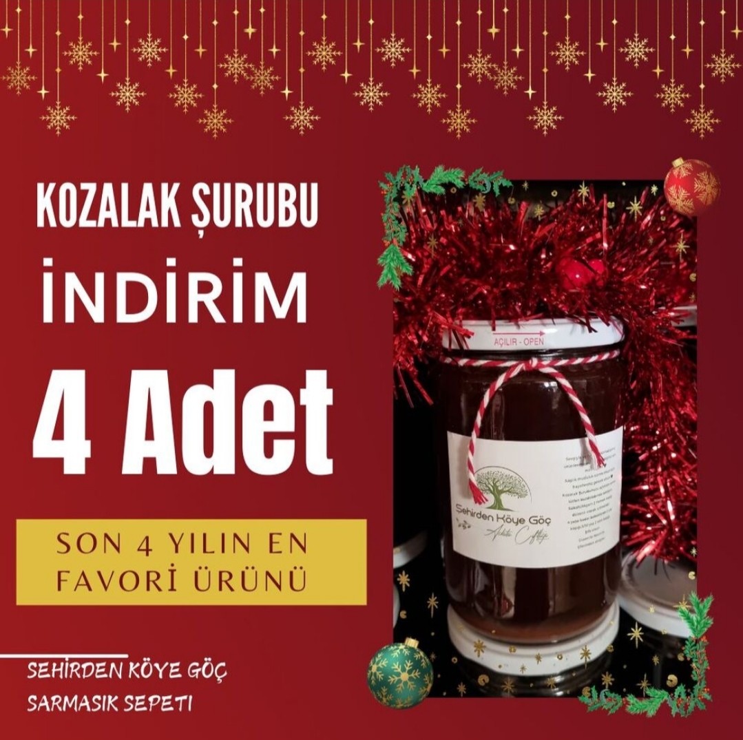 Çam Kozalak Şurubu 4 Adet