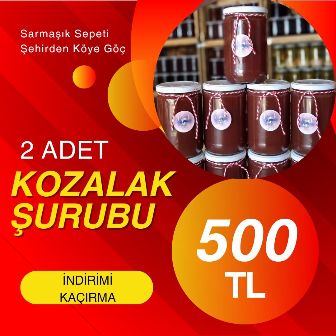 Çam Kozalak Şurubu 2Li Avantaj Paket