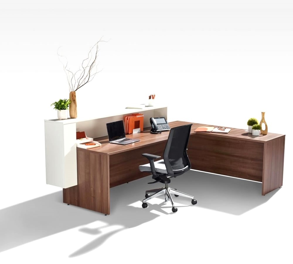 Tune L Ofis Bankosu