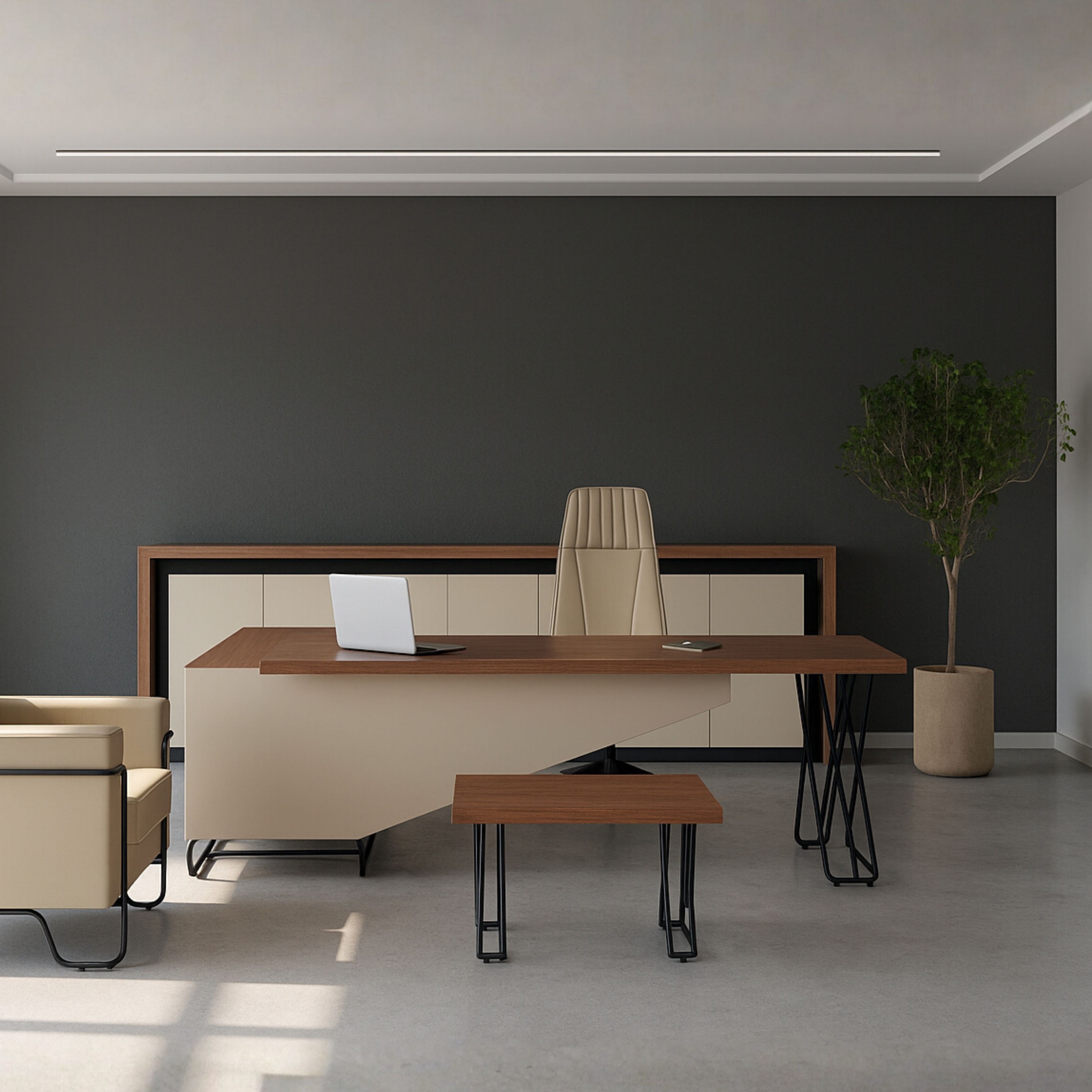 Orna Ofis Yönetici Masa takımı