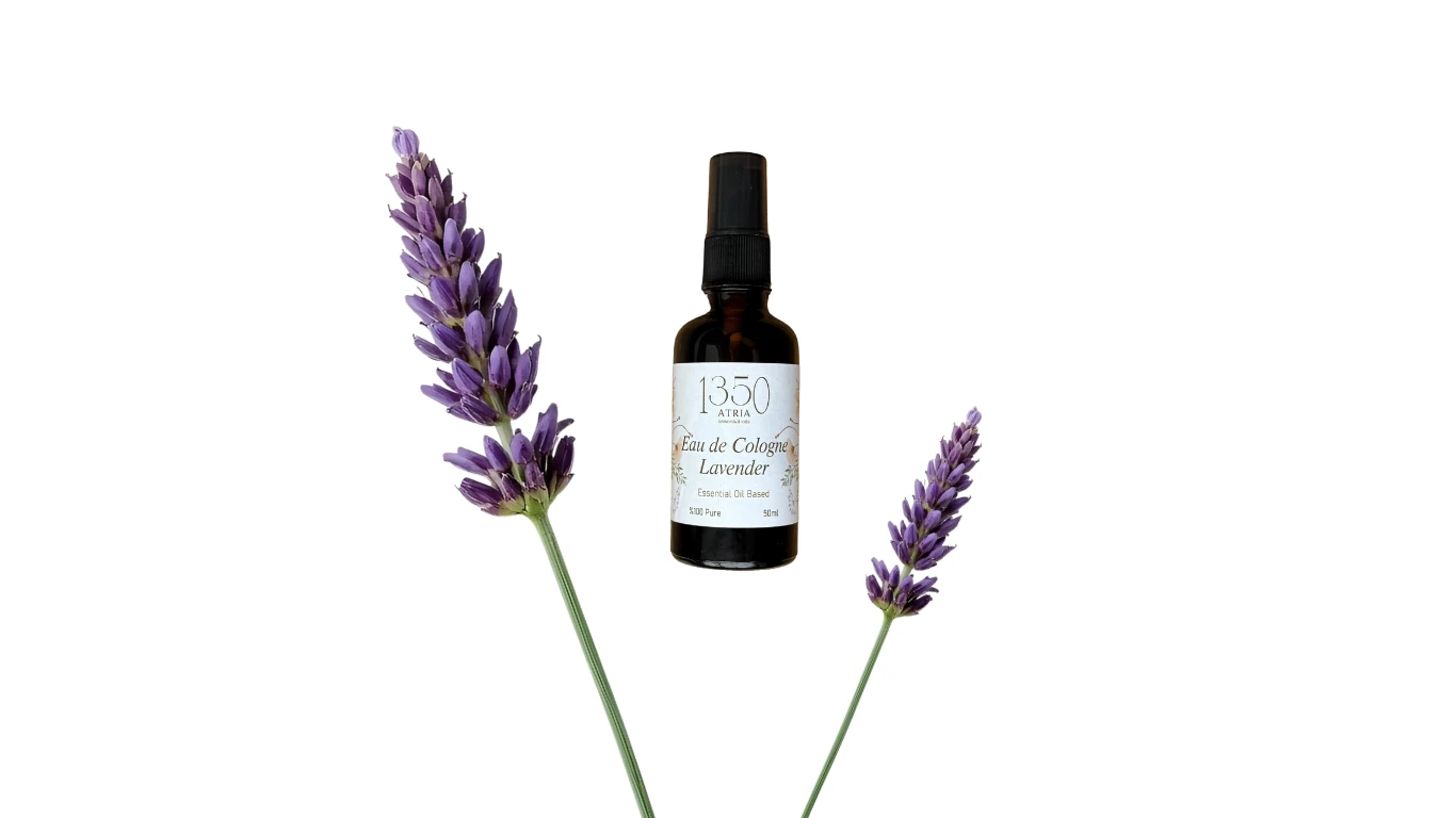 Lavanta Kolonyası 50ml