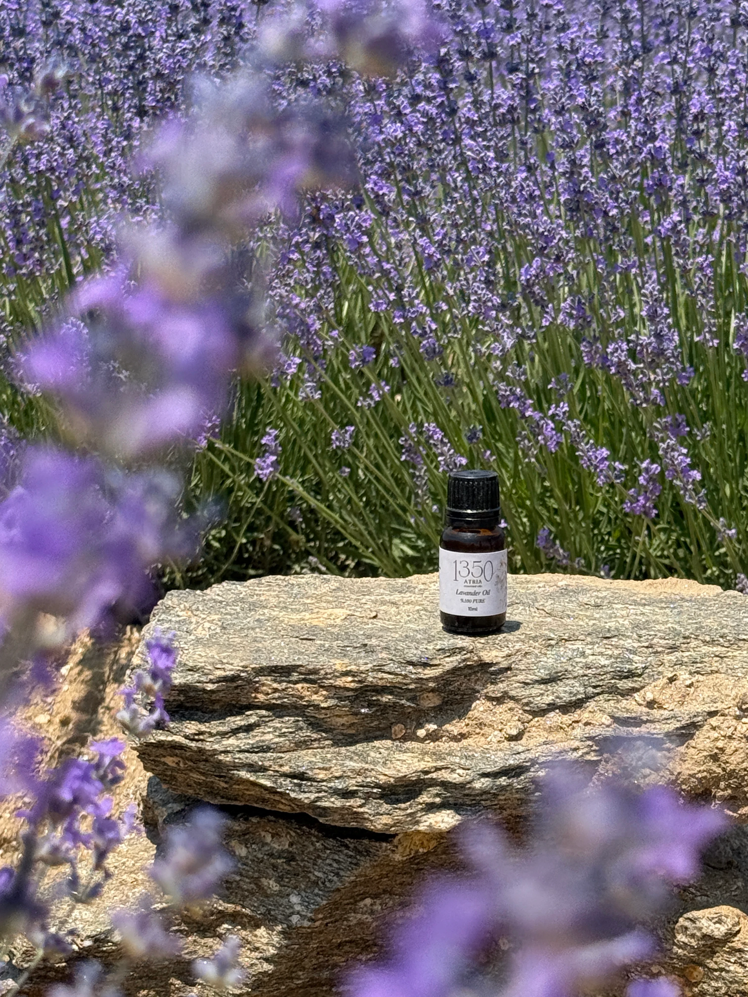 Lavanta Uçucu Yağı (Lavandula angustifolia) 10ml
